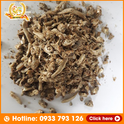 Đầu Cá Cơm